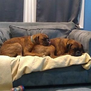 Meet your Posher, Beth